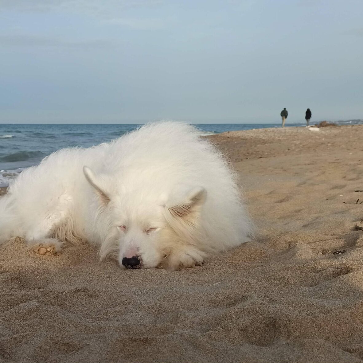 Marina di Petacciato