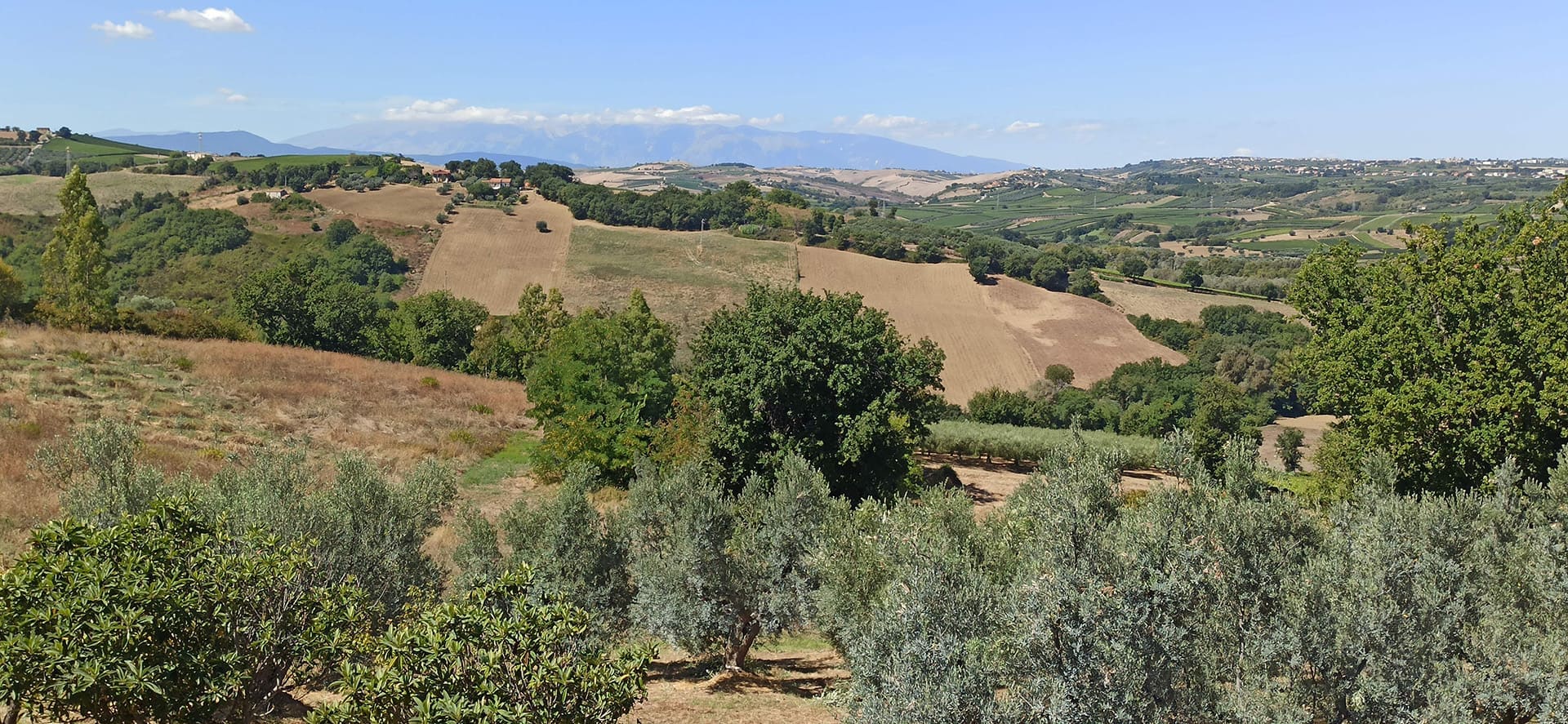 Panorama sulla valle dal giardino del B&B vegan Bel Campà in Abruzzo con oliveto e Majella