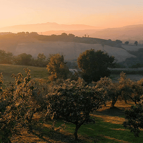 Panorama al tramonto dal giardino del B&B vegan Bel Campà in Abruzzo